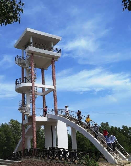 Du xuân về Đất Mũi ảnh 3