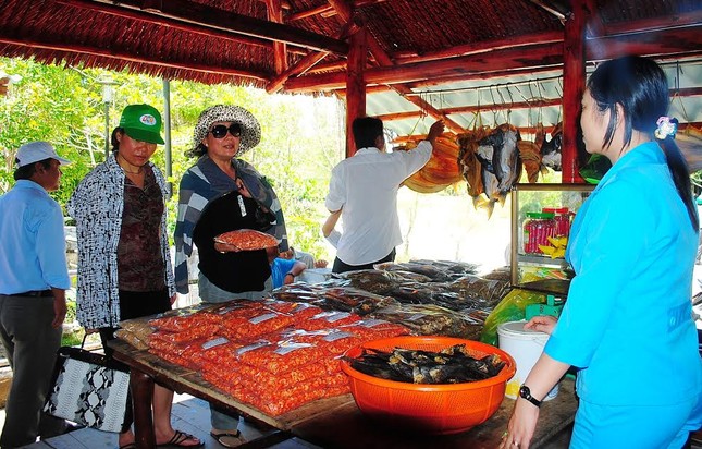 Du xuân về Đất Mũi ảnh 7
