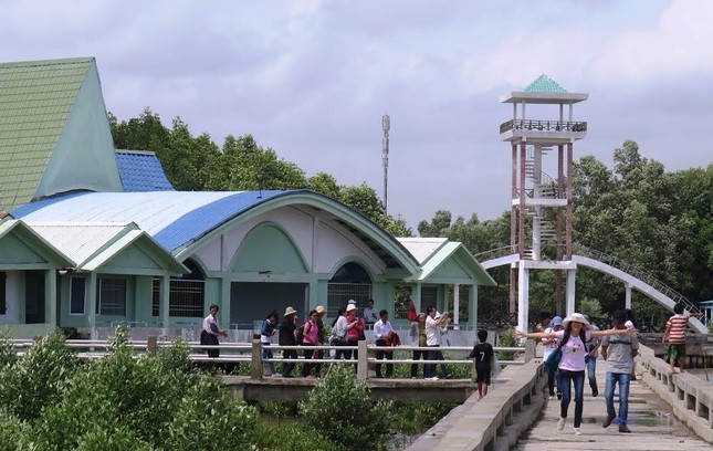 Du xuân về Đất Mũi ảnh 8