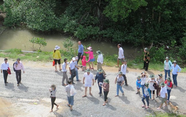 Du xuân về Đất Mũi ảnh 9