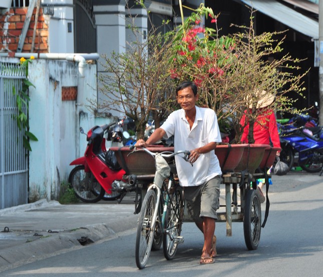 Hoa kiểng tấp nập lên phố Tây Đô, khoe sắc dịp cận Tết ảnh 7