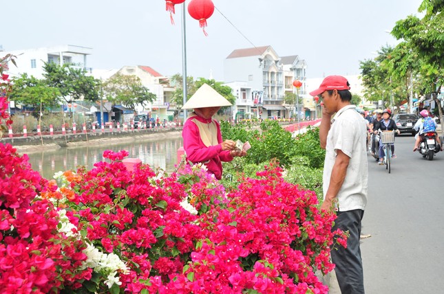 Hoa kiểng tấp nập lên phố Tây Đô, khoe sắc dịp cận Tết ảnh 10