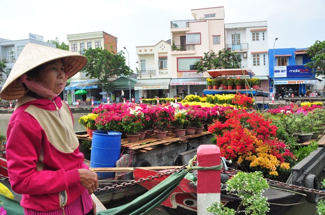 Hoa kiểng tấp nập lên phố Tây Đô, khoe sắc dịp cận Tết ảnh 12
