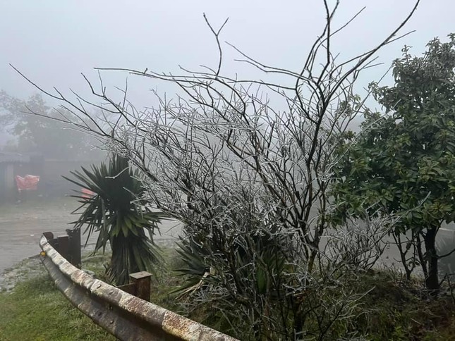 Lạng Sơn: Băng tuyết xuất hiện mỏng manh trên đỉnh Mẫu Sơn ảnh 6