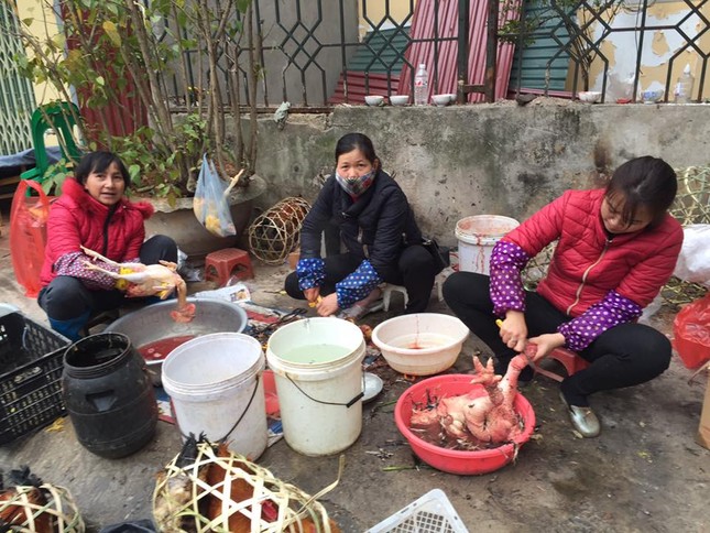 Dịch vụ nhổ lông gà, vịt thuê dịp Tết hút khách ảnh 2