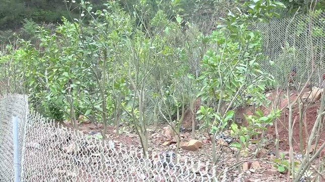 Hàng loạt cán bộ bị kỷ luật vì để người thân xây nhà 'đón' bồi thường ảnh 2