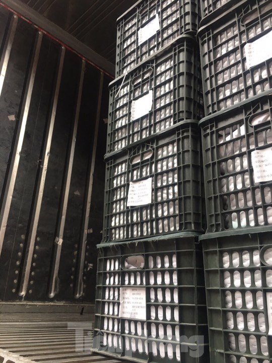 Container chở hoa quả nhộn nhịp qua cửa khẩu Tân Thanh ảnh 2