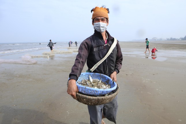 Giăng lưới kéo cả tấn cá gần bờ, ngư dân kiếm tiền triệu mỗi ngày - Ảnh 20.