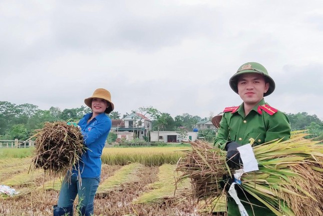 'Áo xanh' xuống đồng giúp người dân thu hoạch lúa đổ rạp sau mưa lũ ảnh 14