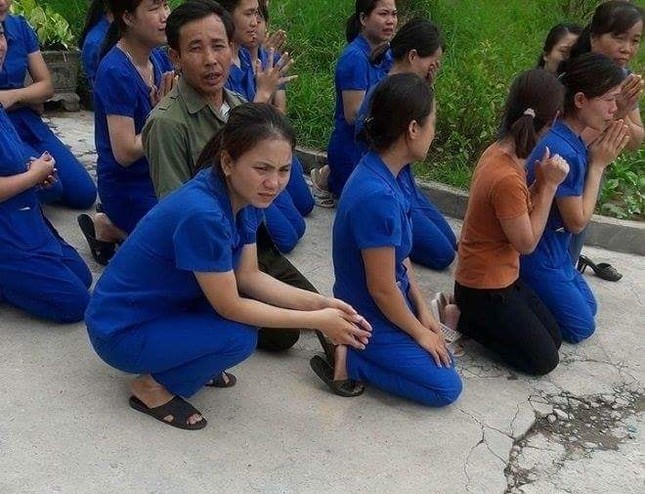 Vụ cô giáo mầm non quỳ gối xin nhà chức trách: Chủ đầu tư nói gì? ảnh 3