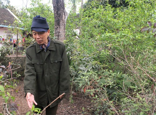 Làng thuốc trăm năm của người Sán Dìu ảnh 2