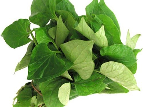 Công dụng làm đẹp da thần kỳ của các loại rau sống ảnh 4