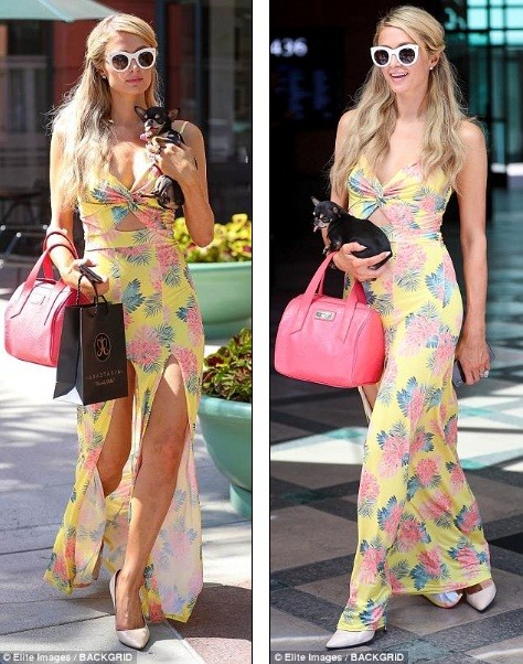 Paris Hilton thần thái sang chảnh, diện váy xẻ bế cún cưng ảnh 2
