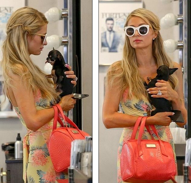 Paris Hilton thần thái sang chảnh, diện váy xẻ bế cún cưng ảnh 4
