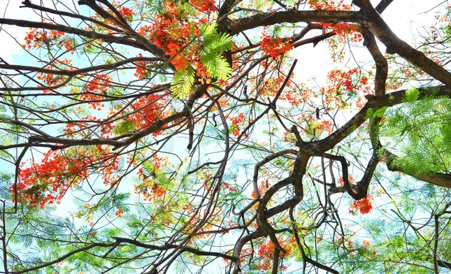 Giảng đường đại học đẹp miên man ảnh 15