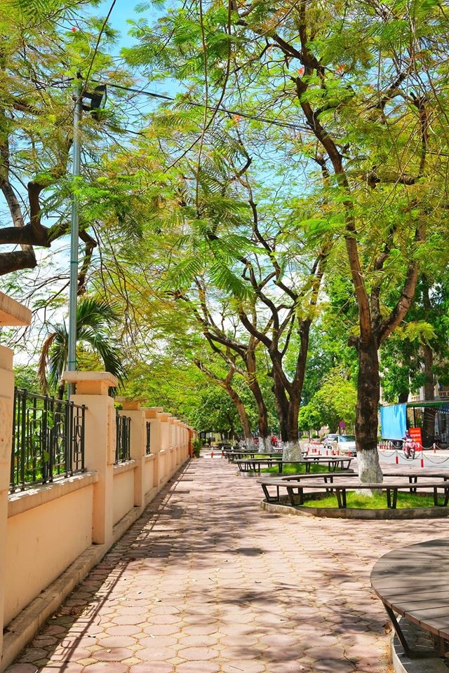 Giảng đường đại học đẹp miên man ảnh 1