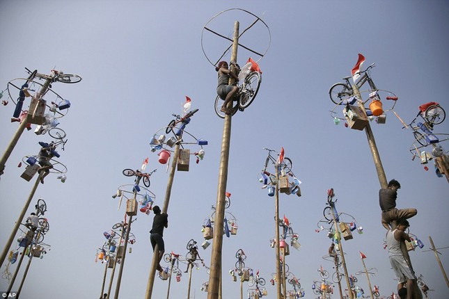 Độc đáo lễ hội leo cột mỡ ở Indonesia ảnh 2