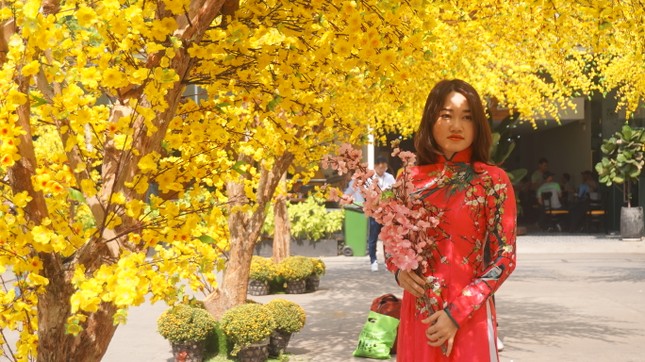 Người dân TPHCM xúng xính xuống phố du xuân sớm ảnh 3