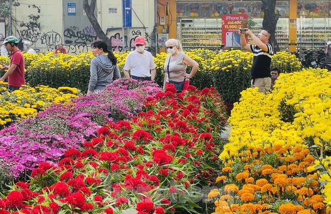 Chợ hoa lớn nhất Sài Gòn vắng khách ngày cận Tết ảnh 2