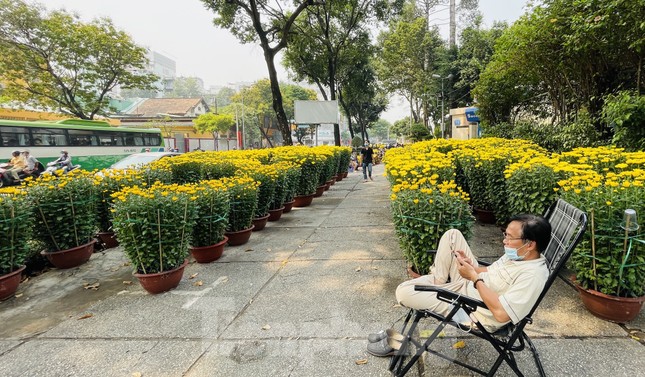 Chợ hoa lớn nhất Sài Gòn vắng khách ngày cận Tết ảnh 4