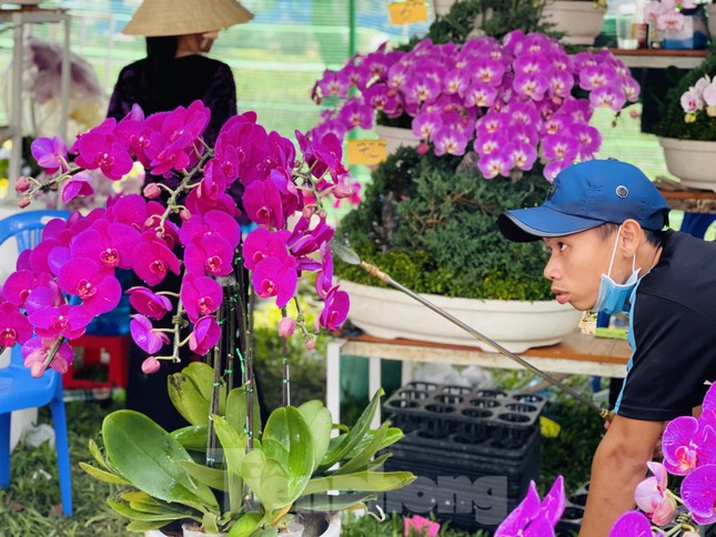 Chợ hoa lớn nhất Sài Gòn vắng khách ngày cận Tết ảnh 7
