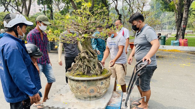 Chợ hoa lớn nhất Sài Gòn vắng khách ngày cận Tết ảnh 12