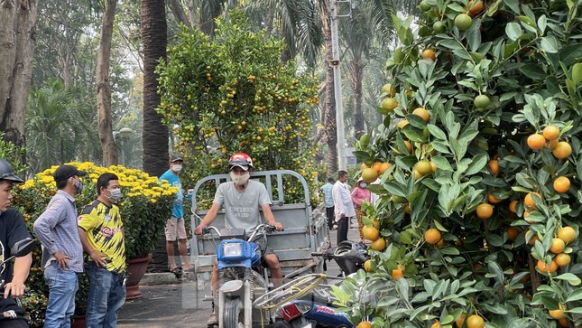 Chợ hoa lớn nhất Sài Gòn vắng khách ngày cận Tết ảnh 13