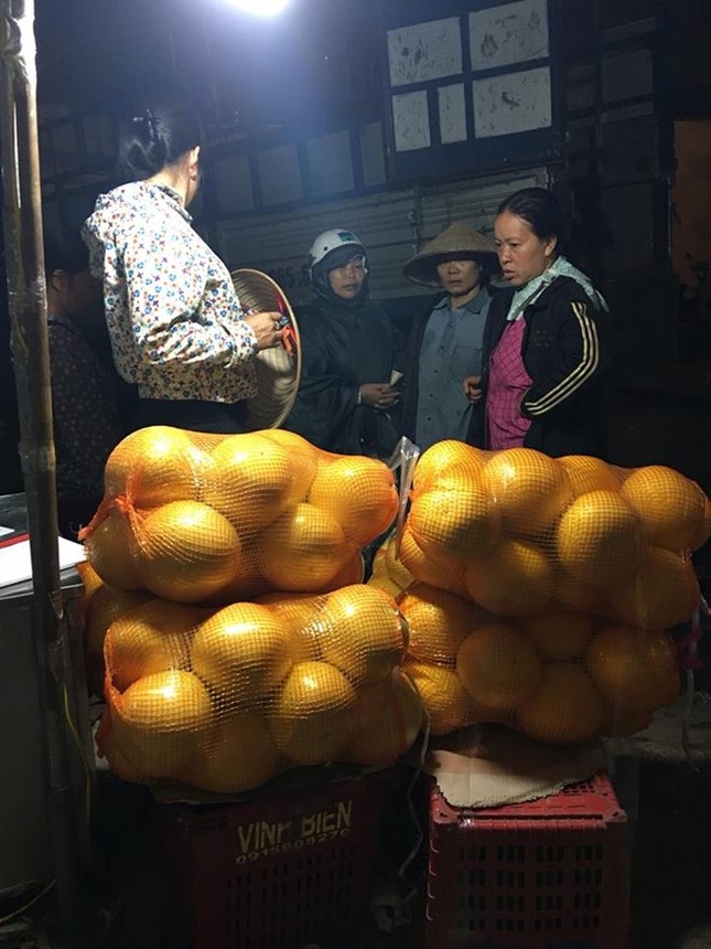 Bưởi lạ vàng bóng của Trung Quốc bán đầy chợ ở Hà Nội ảnh 1