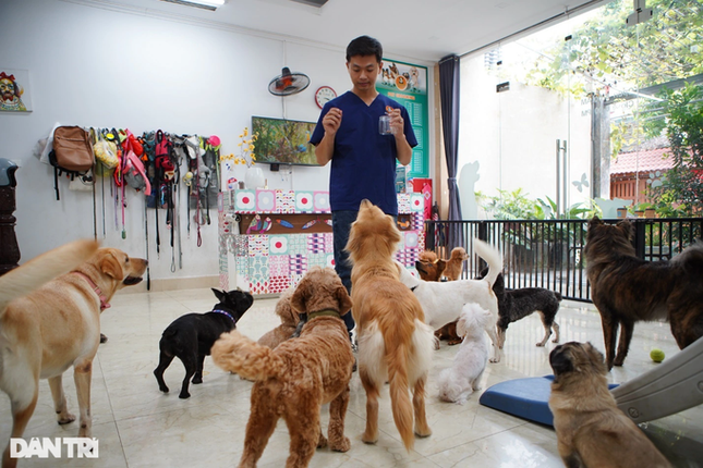 Lạ lùng dịch vụ gửi thú cưng đi... 'nhà trẻ' sang chảnh ở Hà Nội ảnh 2