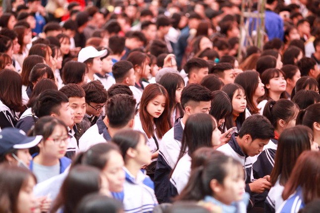 Chưa nhập học đã 'có việc làm' ảnh 2