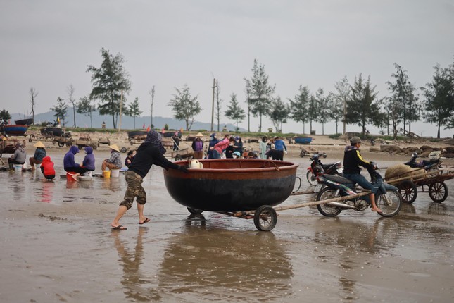 Nét đẹp thuyền thúng Cửa Lò, thu hút giới trẻ thích trải nghiệm ảnh 2