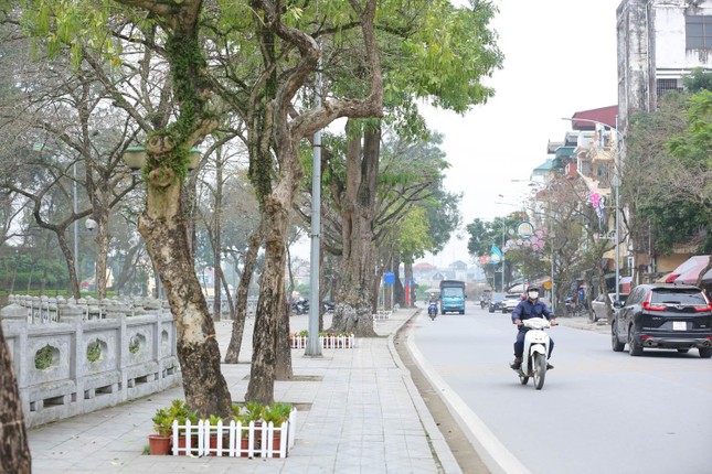 Toàn cảnh tuyến phố đi bộ thứ 4 của Hà Nội sắp đi vào hoạt động ảnh 5
