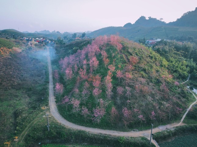 Gặp 'nam thần thổ địa Mộc Châu' nghe kể chuyện du lịch bản địa qua hình ảnh ảnh 7