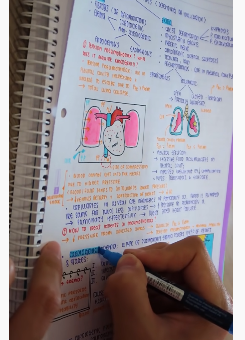 Anh chàng Y Khoa đốn tim giới trẻ với tài sketchnote siêu đỉnh ảnh 10