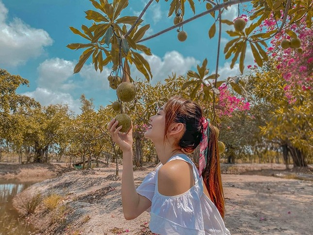 Giãn cách xã hội dài ngày, sao Việt rủ nhau về quê làm "nông dân" như thật ảnh 1