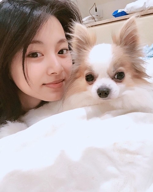 Ngay cả chuyên gia trang điểm cũng công nhận Tzuyu và Jihyo đúng chuẩn mỹ nhân mặt mộc ảnh 3