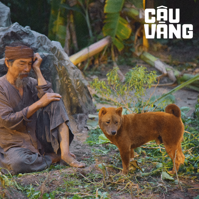 Tất tần tật về vai diễn đặc biệt của chú chó được quan tâm nhất trên màn ảnh rộng Tết 2021 ảnh 9