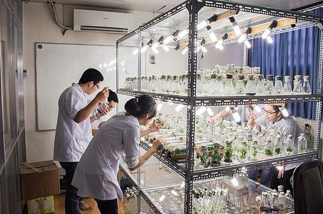 Gần 100 thí sinh được tuyển thẳng vào trường ĐH Khoa học Tự nhiên ảnh 1