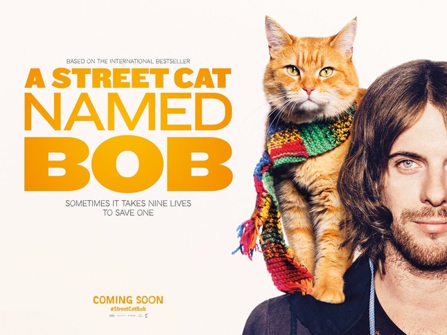 Bob - chú mèo đường phố nổi tiếng từng lên sách và phim đã qua đời ảnh 3