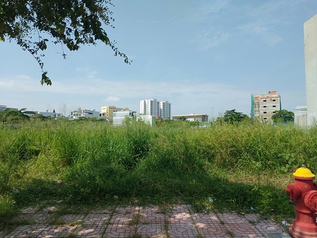 Cận cảnh đất 'vàng' được SAGRI bán rẻ như cho thời ông Lê Tấn Hùng ảnh 2