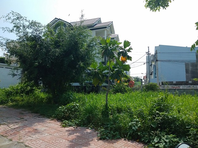 Cận cảnh đất 'vàng' được SAGRI bán rẻ như cho thời ông Lê Tấn Hùng ảnh 3