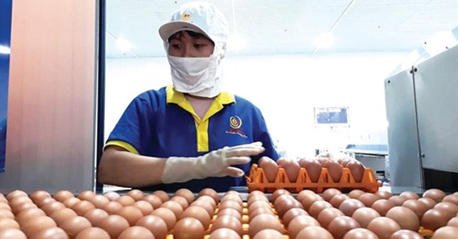 Ba Huân muốn hủy hợp tác với VinaCapital ảnh 1