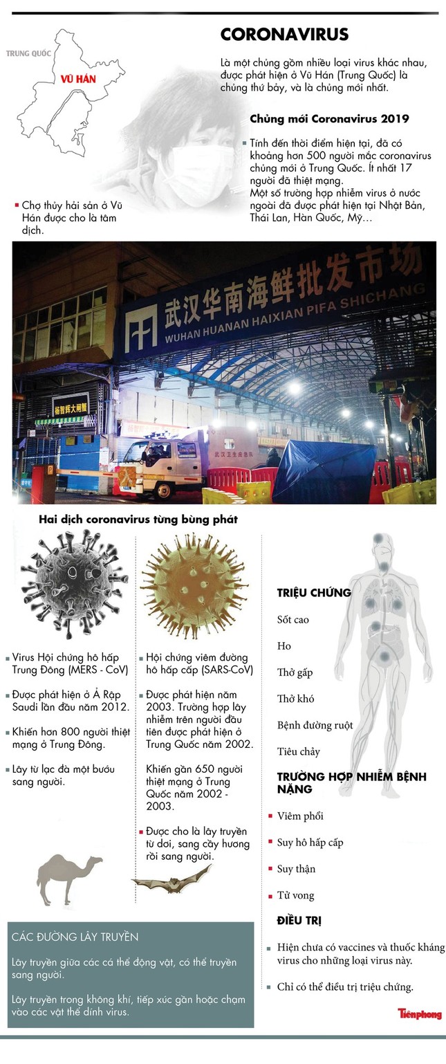 Thông tin mới 2 người Trung Quốc nhiễm virus corona đang bị cách ly ở TPHCM ảnh 5