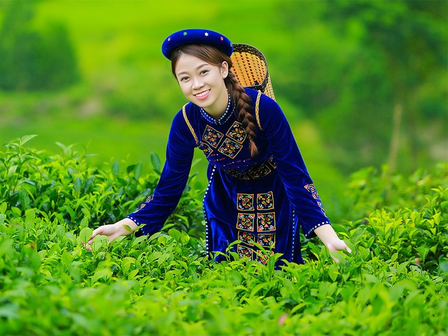 Thí sinh iMiss Thăng Long rạng rỡ sắc áo dân tộc bên đồi chè ảnh 6