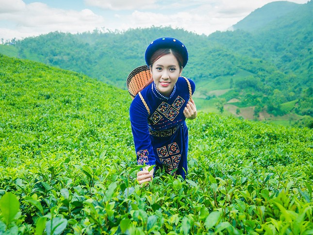 Thí sinh iMiss Thăng Long rạng rỡ sắc áo dân tộc bên đồi chè ảnh 4