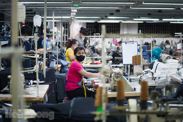 Long An sẽ cấp chứng nhận đầu tư trong 24 giờ? ảnh 3