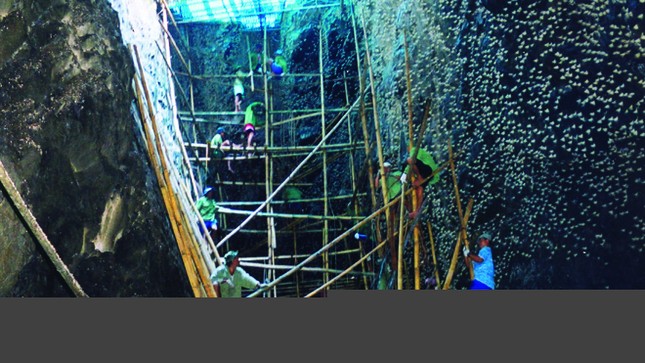 Đầu Xuân luận chuyện yến sào ảnh 1