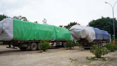 Công an Nghệ An bắt đoàn xe chở gỗ vượt 300% tải trọng ảnh 1