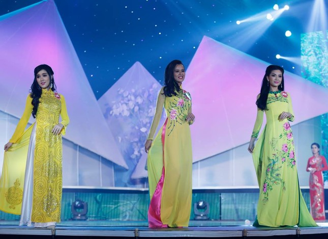 20 thí sinh phía Nam vào Chung kết Hoa hậu Việt Nam 2014 ảnh 10