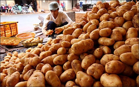 Nông sản Trung Quốc vẫn tràn ngập thị trường ảnh 1